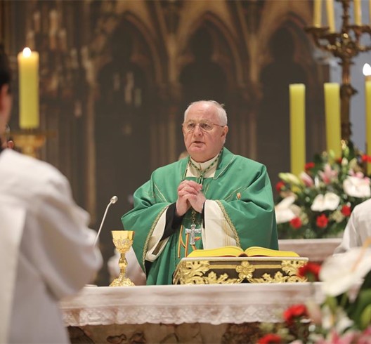 Biskup Razum predvodio misno slavlje na Dan braka